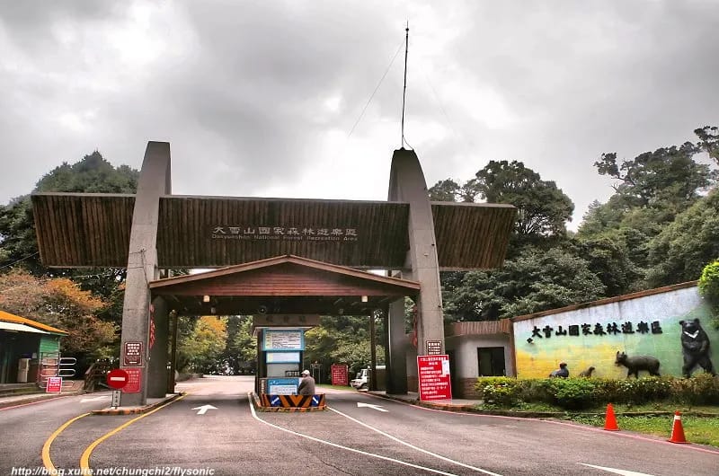 大雪山森林遊樂區｜小神木森林步道