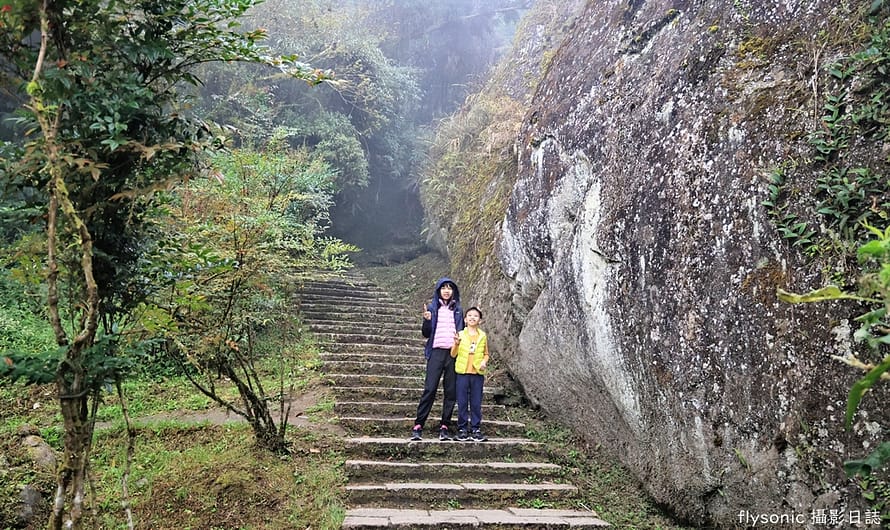 溪頭自然教育園區｜神秘的巨石步道，順走神木步道