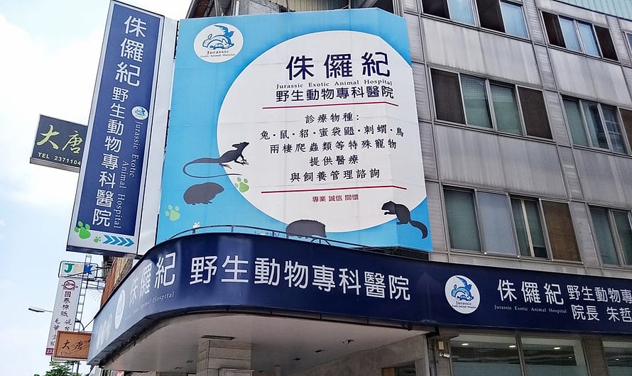 【新手養倉鼠】倉鼠生病就醫的經驗（台中侏儸紀野生動物醫院）
