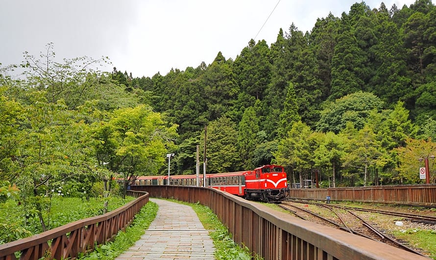 阿里山森林遊樂區｜阿里山林鐵最早通車終站—沼平車站、沼平公園介紹