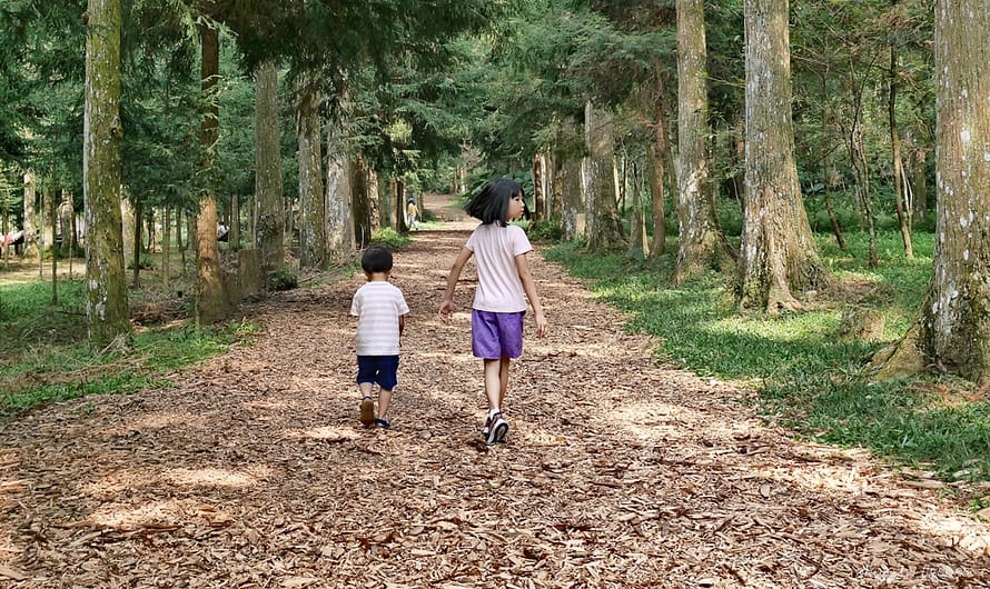 【南投惠蓀林場】帶小孩玩惠蓀林場—初探