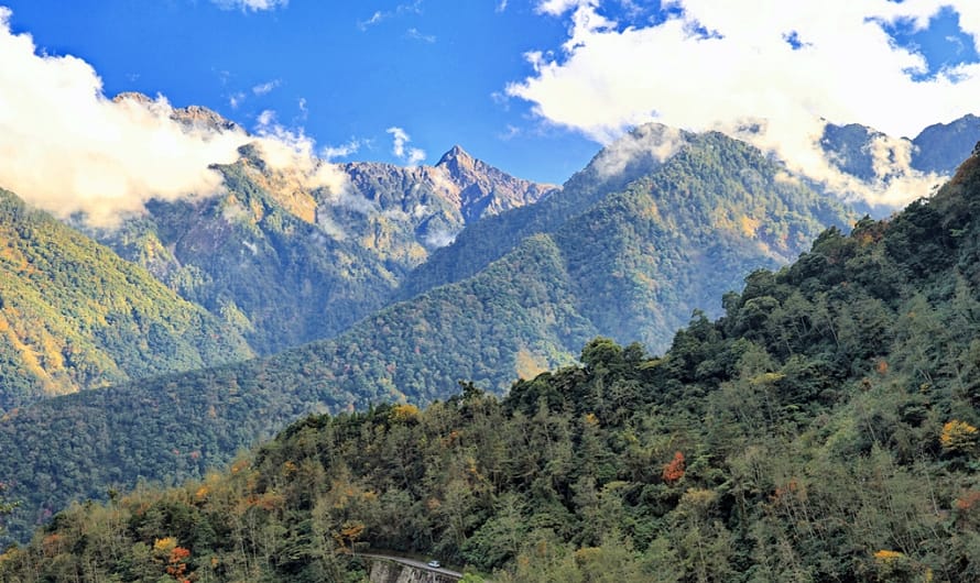 新中橫玉山景觀公路尋楓自駕—塔塔加遊客中心、觀峰看玉山