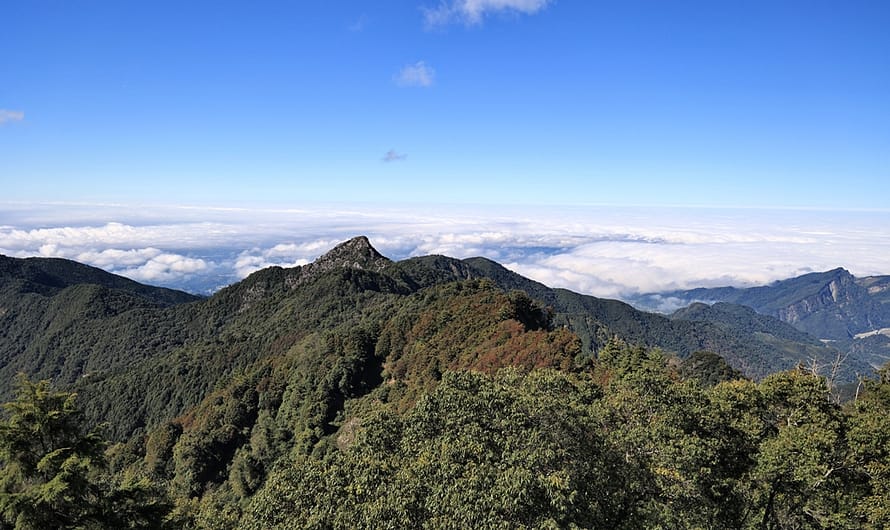 大雪山森林遊樂區｜冬季限定—2022 稍來山賞楓