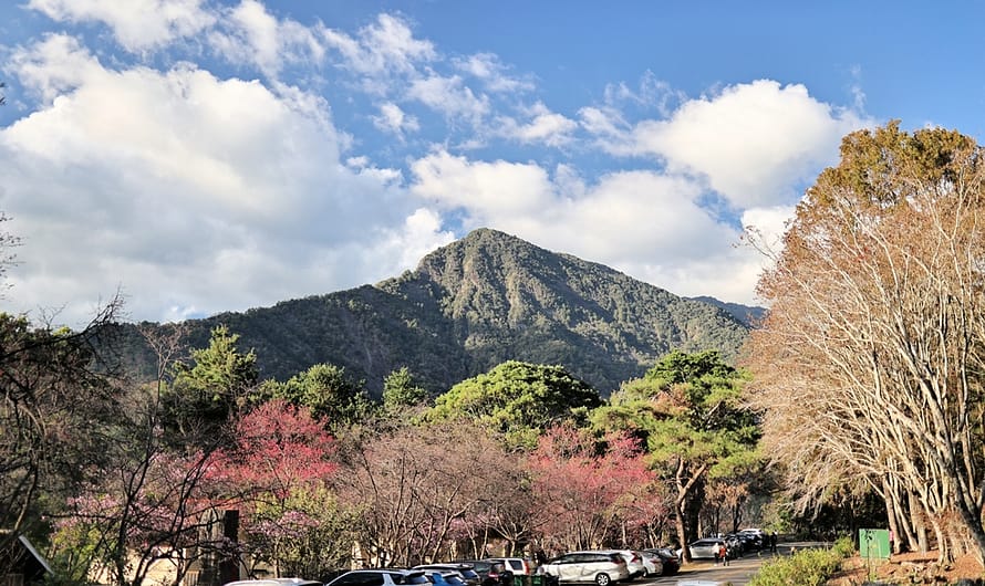 惠蓀林場 | 遊憩體能訓練設施初體驗、景觀台眺望尾敏山