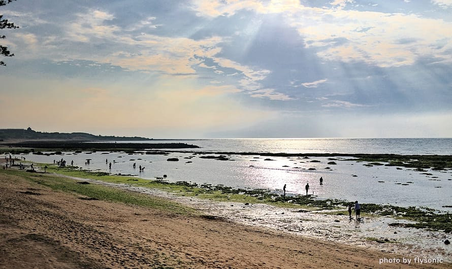 三芝淺水灣｜淺水灣海濱公園—親子玩沙、玩水、抓螃蟹，芝蘭海上觀景平台看夕陽