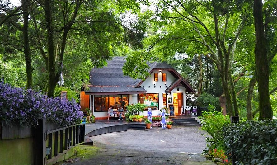 【台中新社】雨中漫步薰衣草森林