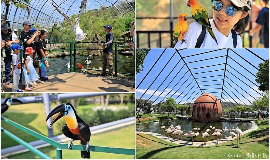 再訪九九峰動物樂園–餵食互動的美好體驗