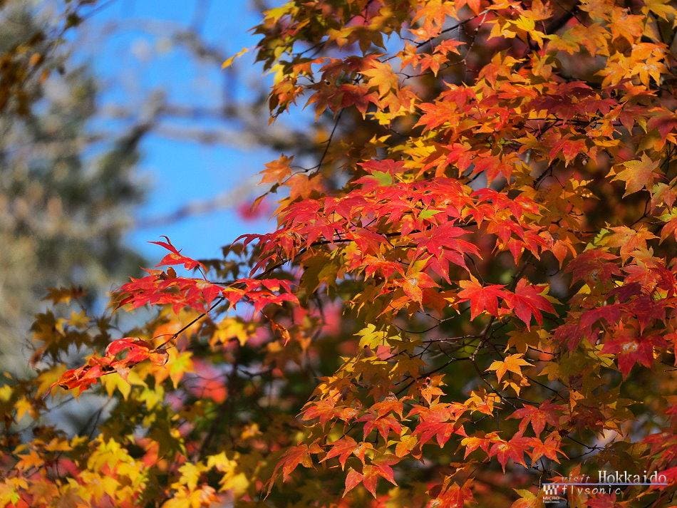 這張圖片的 alt 屬性值為空,它的檔案名稱為 image-47.jpeg