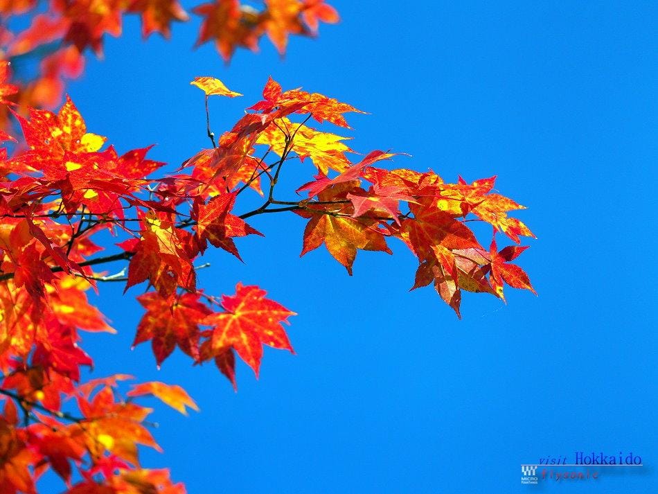 這張圖片的 alt 屬性值為空,它的檔案名稱為 image-48.jpeg