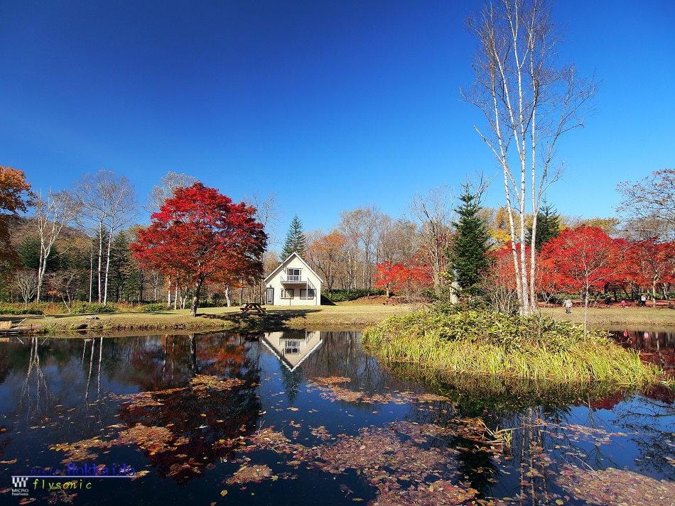 這張圖片的 alt 屬性值為空,它的檔案名稱為 image-55.jpeg