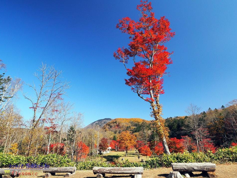 這張圖片的 alt 屬性值為空,它的檔案名稱為 image-31.jpeg