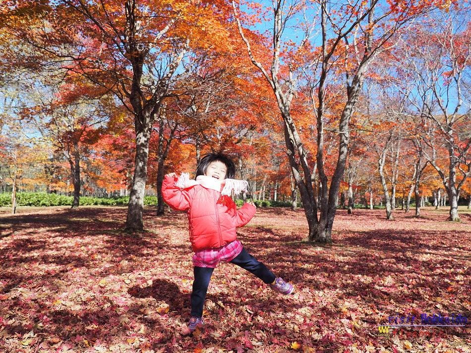 這張圖片的 alt 屬性值為空,它的檔案名稱為 image-41.jpeg