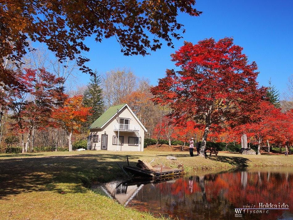 這張圖片的 alt 屬性值為空,它的檔案名稱為 image-56.jpeg