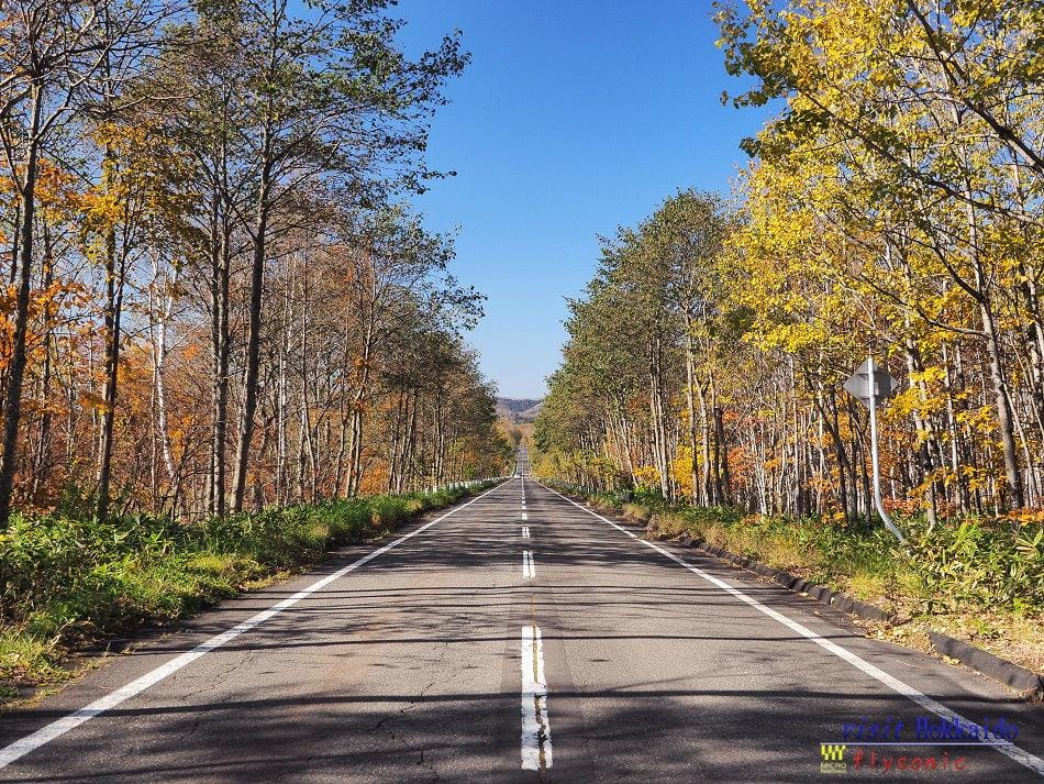 這張圖片的 alt 屬性值為空,它的檔案名稱為 image-26.jpeg