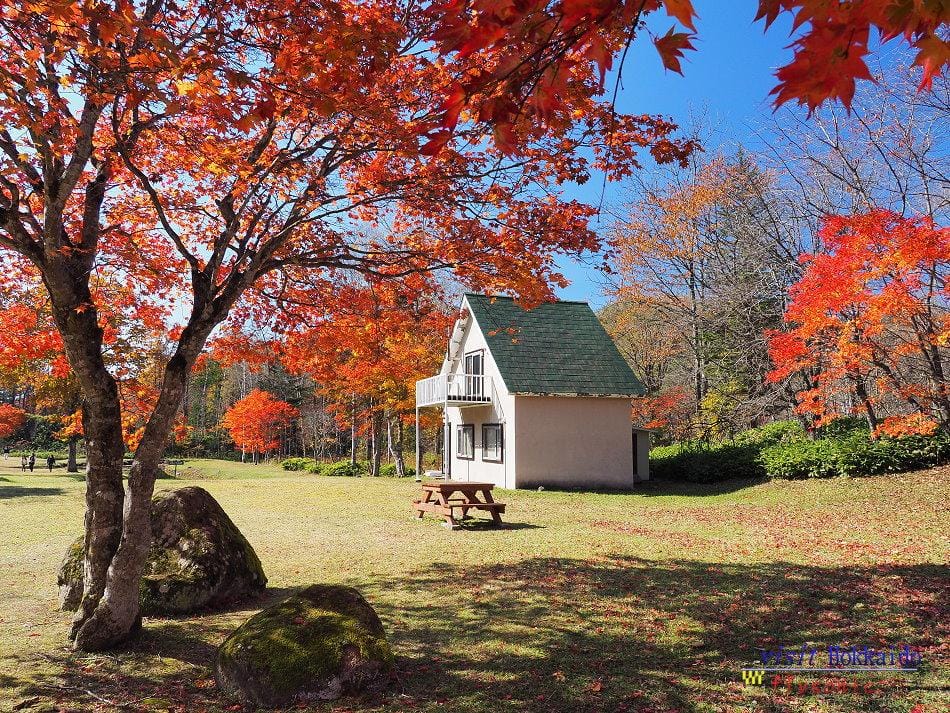 這張圖片的 alt 屬性值為空,它的檔案名稱為 image-36.jpeg