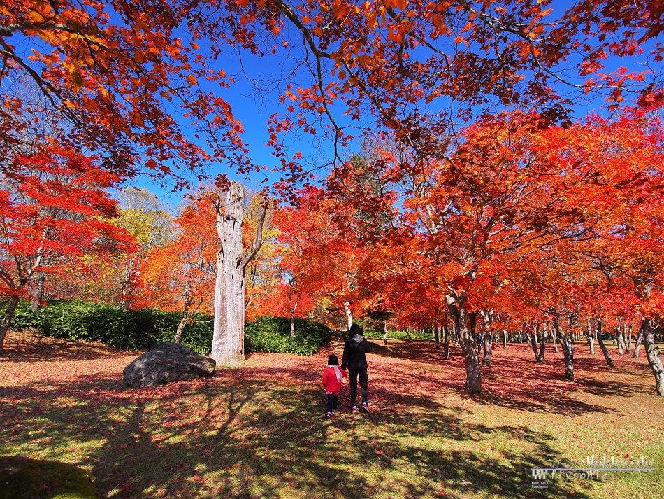 這張圖片的 alt 屬性值為空,它的檔案名稱為 image-52.jpeg