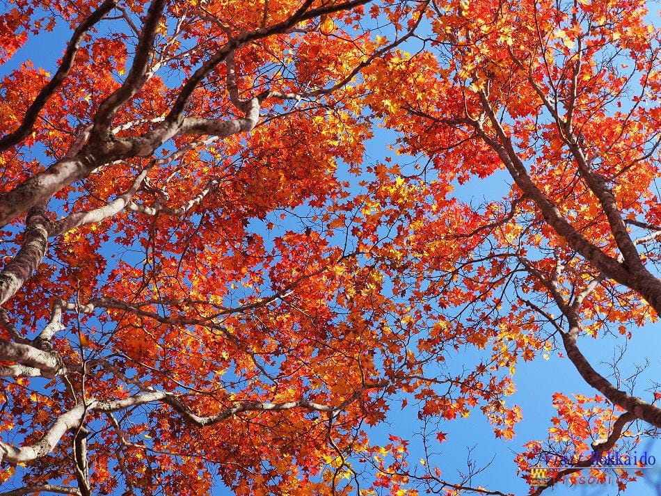 這張圖片的 alt 屬性值為空,它的檔案名稱為 image-46.jpeg