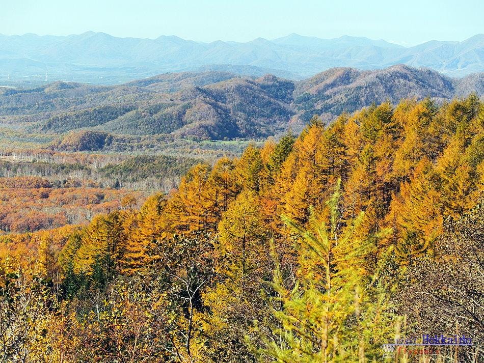 這張圖片的 alt 屬性值為空,它的檔案名稱為 image-29.jpeg