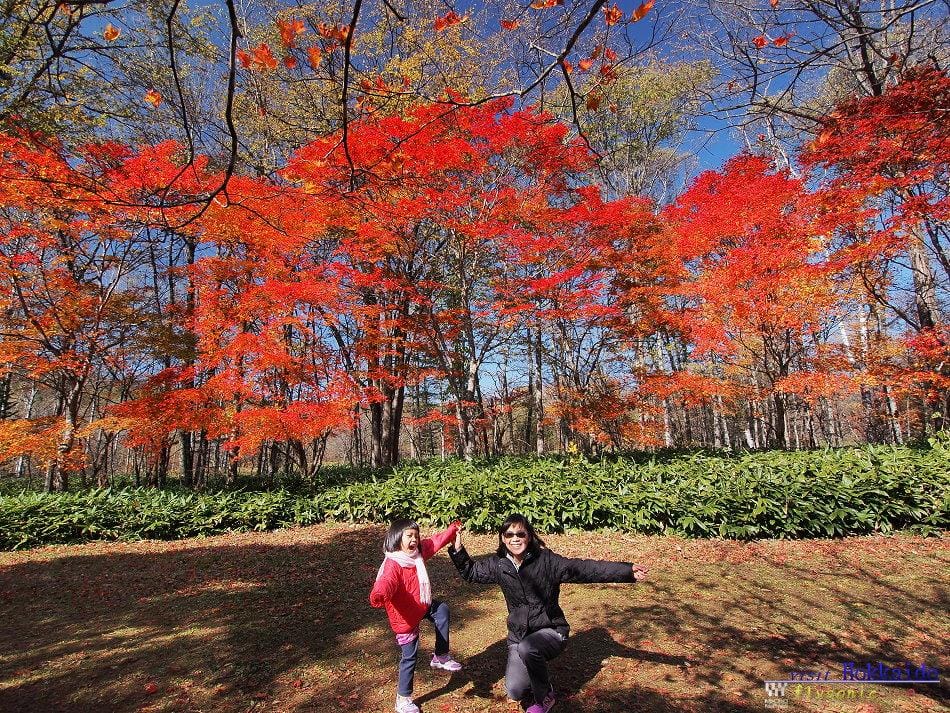 這張圖片的 alt 屬性值為空,它的檔案名稱為 image-51.jpeg