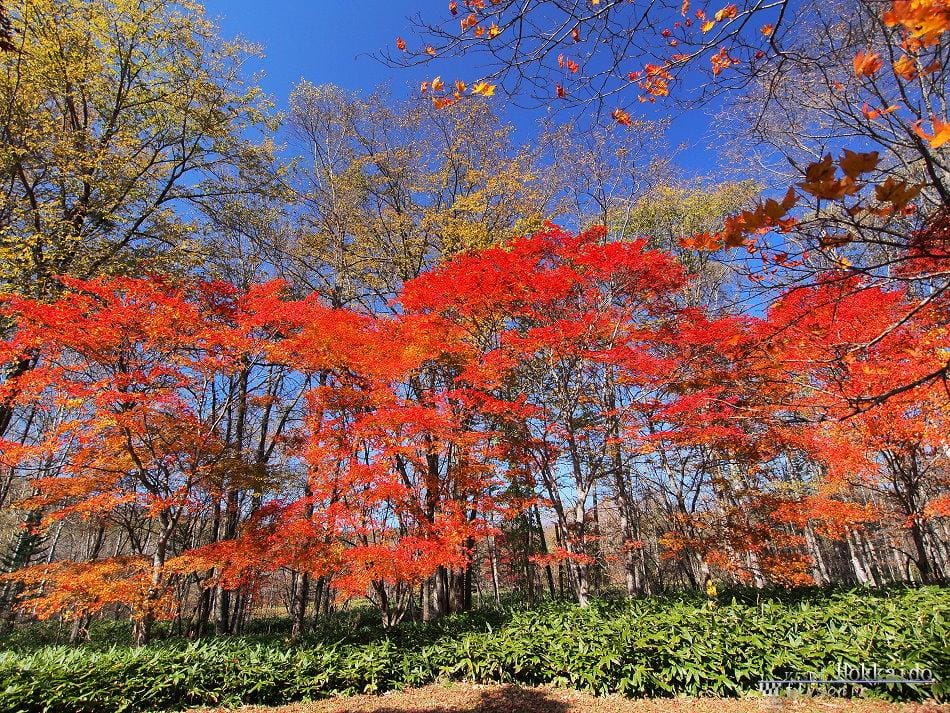 這張圖片的 alt 屬性值為空,它的檔案名稱為 image-54.jpeg