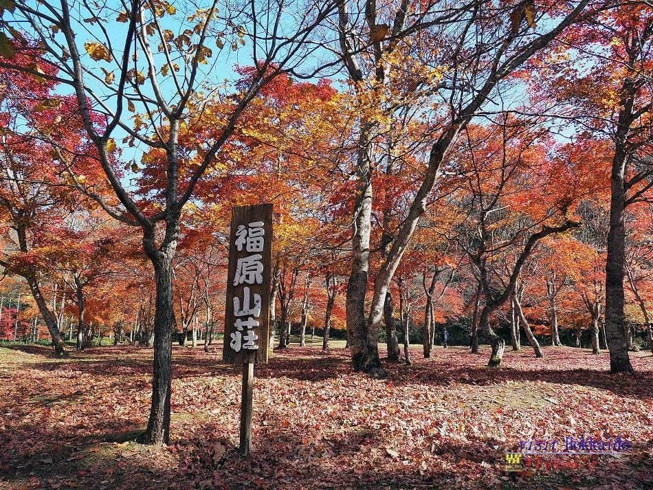 這張圖片的 alt 屬性值為空,它的檔案名稱為 image-30.jpeg