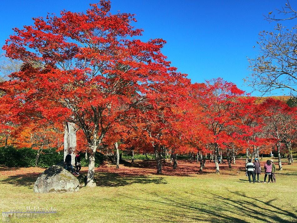 這張圖片的 alt 屬性值為空,它的檔案名稱為 image-50.jpeg