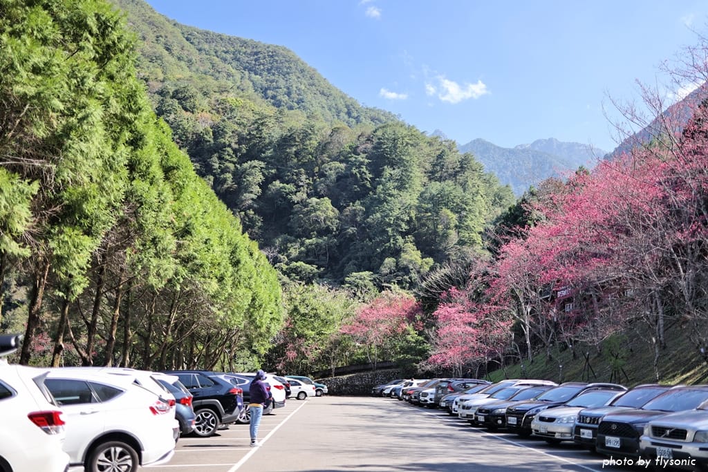 這張圖片的 alt 屬性值為空,它的檔案名稱為 %E7%B8%AE%E5%9C%96017A4646-2.jpg