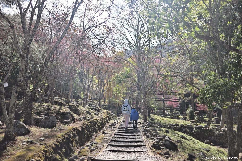 這張圖片的 alt 屬性值為空,它的檔案名稱為 %E7%B8%AE%E5%9C%96017A4651-2.jpg