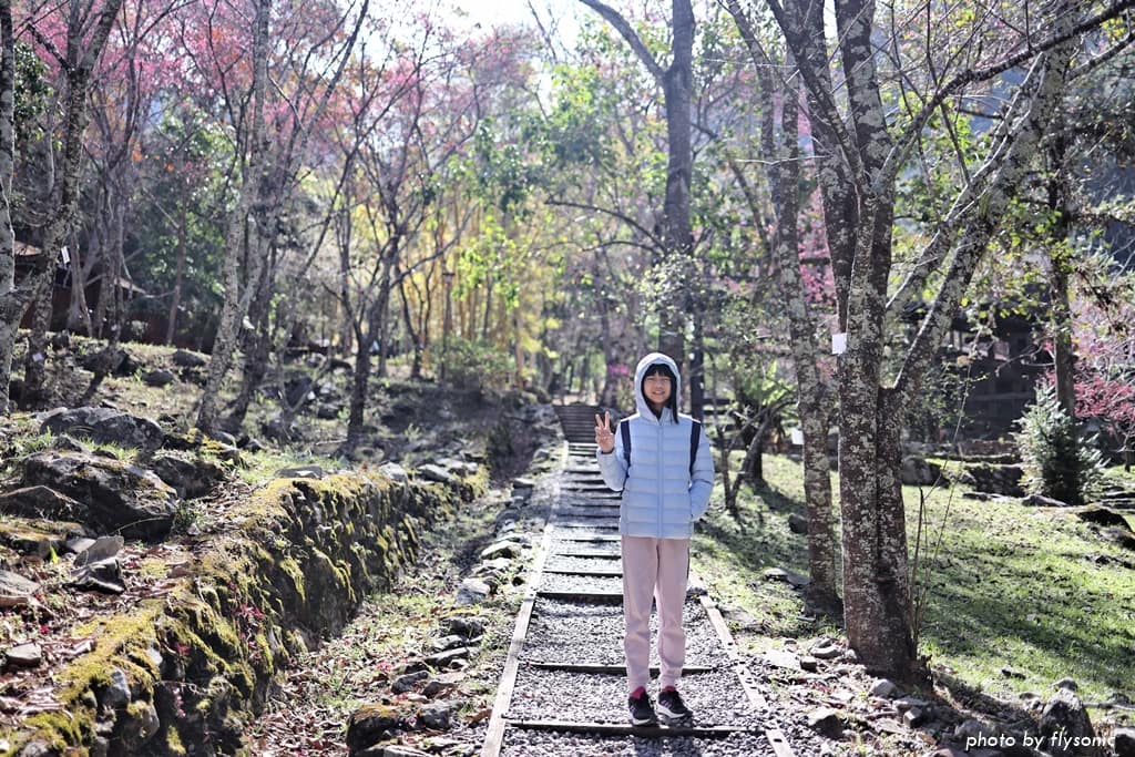 這張圖片的 alt 屬性值為空,它的檔案名稱為 %E7%B8%AE%E5%9C%96017A4655-2.jpg