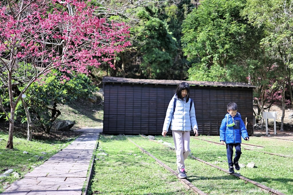 這張圖片的 alt 屬性值為空,它的檔案名稱為 %E7%B8%AE%E5%9C%96017A4668-2.jpg