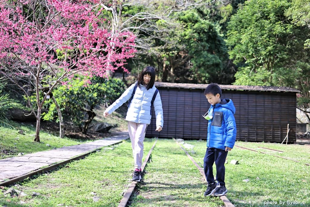 這張圖片的 alt 屬性值為空,它的檔案名稱為 %E7%B8%AE%E5%9C%96017A4670-2.jpg