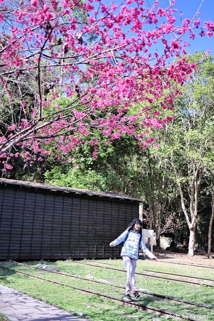 這張圖片的 alt 屬性值為空,它的檔案名稱為 %E7%B8%AE%E5%9C%96017A4681-2.jpg