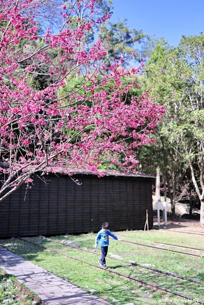 這張圖片的 alt 屬性值為空,它的檔案名稱為 %E7%B8%AE%E5%9C%96017A4697-2.jpg