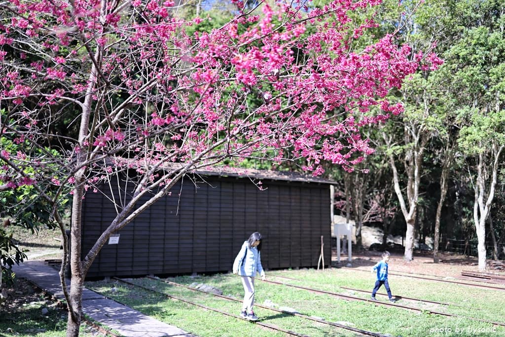 這張圖片的 alt 屬性值為空,它的檔案名稱為 %E7%B8%AE%E5%9C%96017A4712-3.jpg