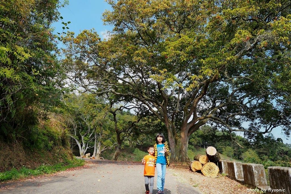 這張圖片的 alt 屬性值為空,它的檔案名稱為 %E7%B8%AE%E5%9C%96P1310020.2.jpg