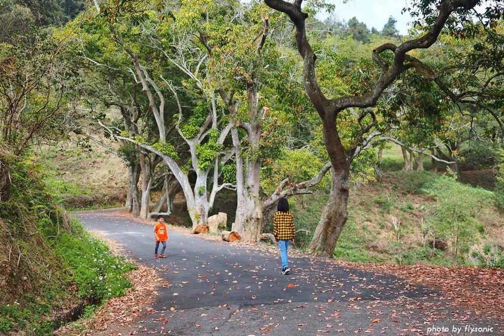 這張圖片的 alt 屬性值為空,它的檔案名稱為 %E7%B8%AE%E5%9C%96P1310040.2.jpg