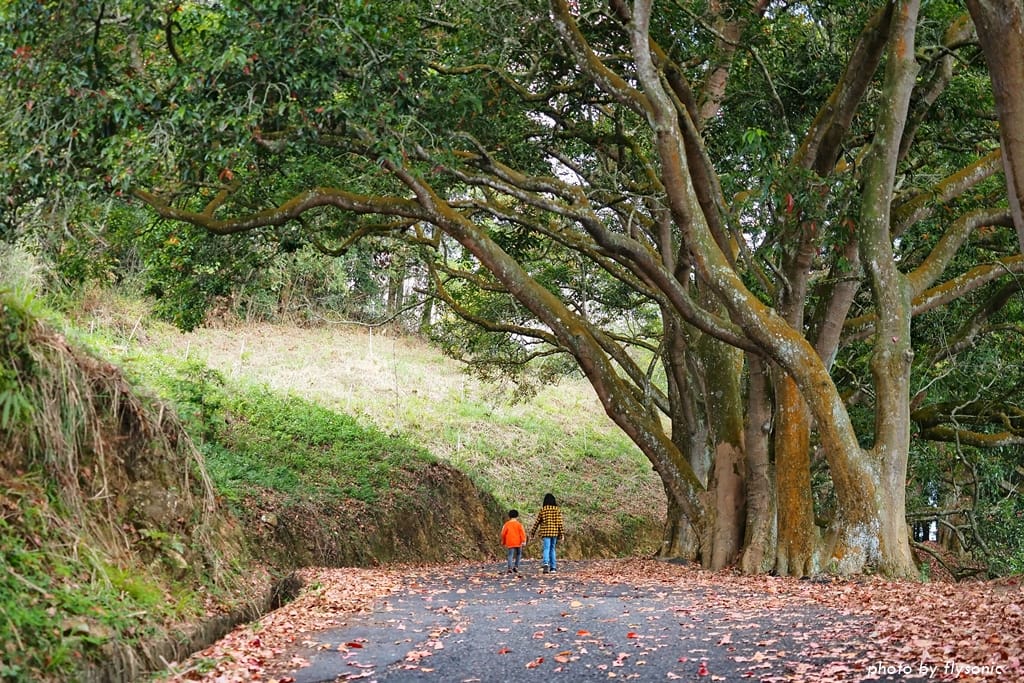 這張圖片的 alt 屬性值為空,它的檔案名稱為 %E7%B8%AE%E5%9C%96P1310067.2.jpg