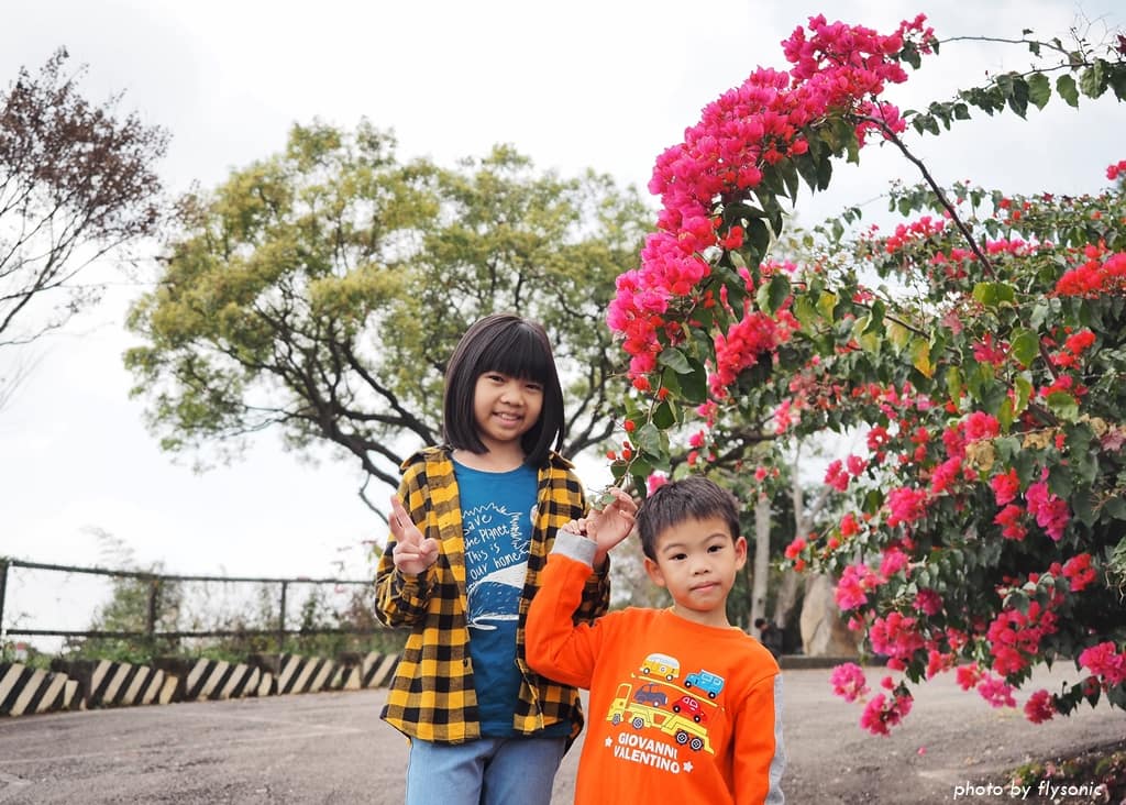 這張圖片的 alt 屬性值為空,它的檔案名稱為 %E7%B8%AE%E5%9C%96P1310367.1.jpg