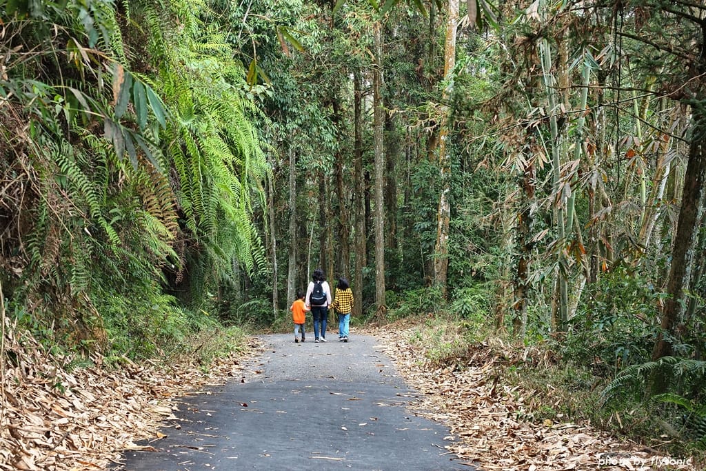 這張圖片的 alt 屬性值為空,它的檔案名稱為 %E7%B8%AE%E5%9C%96P1310482.2.jpg