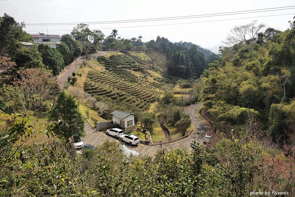 這張圖片的 alt 屬性值為空,它的檔案名稱為 %E7%B8%AE%E5%9C%96P1310541.1-2.jpg